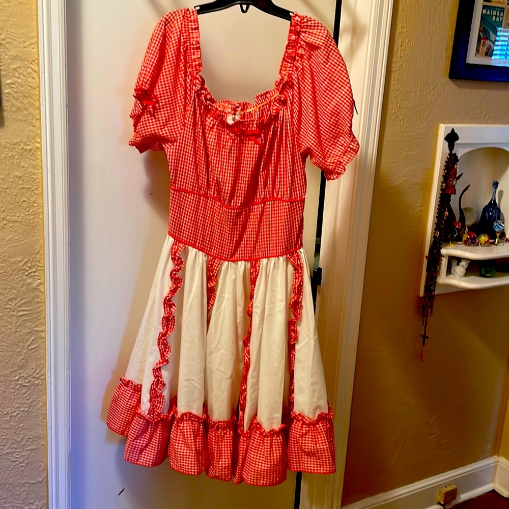 Octoberfest Beermaid dress with 28 inch natural waist